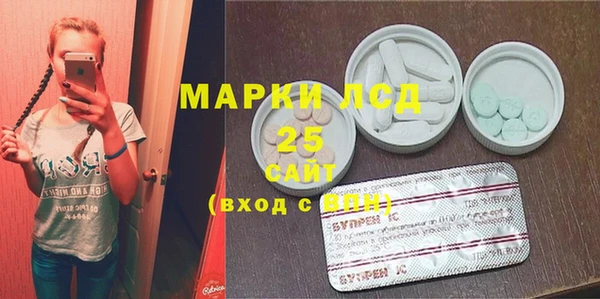 крисы Коряжма