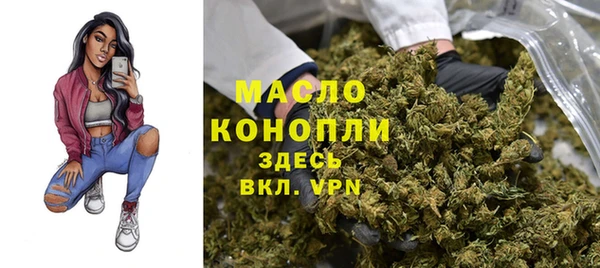 крисы Коряжма