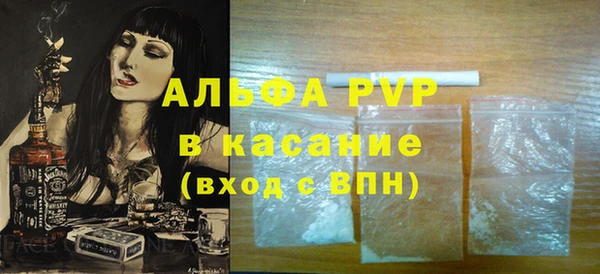крисы Коряжма