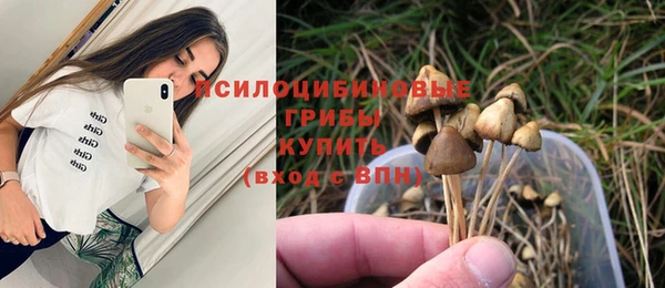 крисы Коряжма
