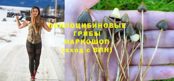 бошки Железногорск-Илимский