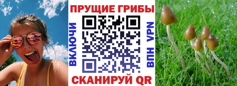 Псилоцибиновые грибы MAGIC MUSHROOMS  Киренск 